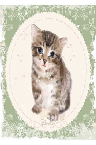 şaşkın kedi 30 x 45 cm kuşe poster silindir kutulu kargo