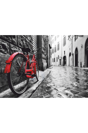 sokaktaki kırmızı bisiklet 30 x 45 cm kuşe poster silindir kutulu kargo