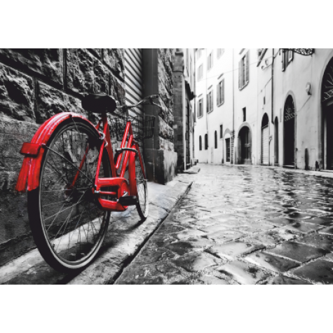 sokaktaki kırmızı bisiklet 30 x 45 cm kuşe poster silindir kutulu kargo